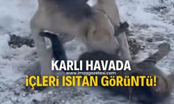 Karlı havada ortaya çıkan görüntü içleri ısıttı