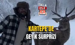 Kartepe'de Kar Yağışı Arasında Geyik Sürprizi!