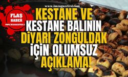 Kestane ve kestane balının diyarı Zonguldak için olumsuz açıklama! | İmza