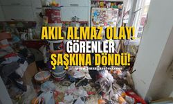 Akıl almaz olay! Görenler şaşkına döndü!