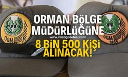 Orman Genel Müdürlüğü, 8 bin 500 kişilik işçi alımı yapacak