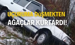 Tofaş marka otomobili uçuruma düşmekten ağaçlar kurtardı