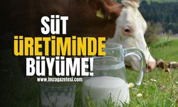 TÜİK açıkladı! Süt üretiminde büyüme... | TÜİK Haberleri