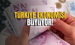 Türkiye Ekonomisi 2024'te Büyümeye Devam Etti... O Sektör Zirveye Yerleşti!