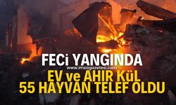 Yangında ev ve ahır kül olurken 55 hayvan da telef oldu