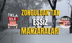 Karda miyavlayarak kurtarılmayı bekledi! Zonguldak'ta eşsiz kar manzaraları...