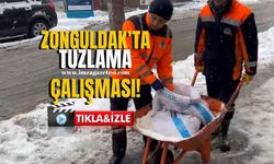 Zonguldak'ta tuzlama çalışması!