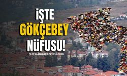 TÜİK açıkladı! İşte Gökçebey'in nüfusu!