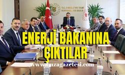 Enerji Bakanını ziyaret ettiler