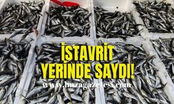 İstavrit yerinde sayıyor!