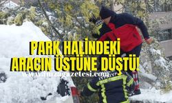 Park halindeki aracın üzerine devrildi!