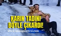 Karın tadını böyle çıkardı!