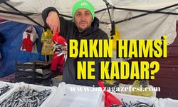 Hamsi el yakıyor!