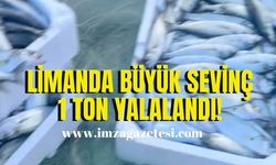 Zonguldak limanında büyük sevinç! 1 ton yakalandı