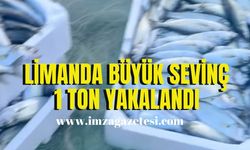 Zonguldak limanında büyük sevinç! 1 ton yakalandı