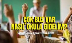 Öğrenciler Vali Hacıbektaşoğluna seslendi! Valim çok buz var nasıl tatil yok