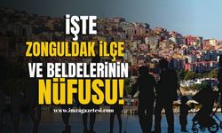 TÜİK açıkladı! İşte Zonguldak ilçe ve beldelerinin nüfusları!