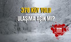 Zonguldak’ta kar yağışından 378 köy yolu!