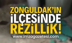 Zonguldak'ın ilçesinde rezillik! | Zonguldak haber