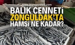 Zonguldak’ta Hamsi Fiyatları El Yakıyor! | Zonguldak haber