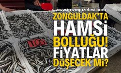 Zonguldak’ta Hamsi Tezgahlarda 100 Liradan Satılıyor | Zonguldak haber