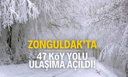 Zonguldak’ta kapalı köy yollarından 47’si ulaşıma açıldı.