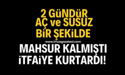 2 gündür aç ve susuz bir şekilde mahsur kalmıştı itfaiye kurtardı