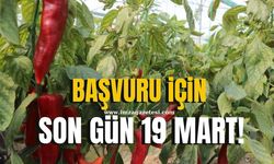 Başvuru için son gün 19 Mart