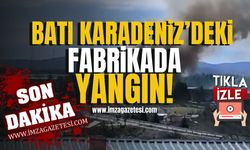 Batı Karadeniz'de bulunan fabrika alev alev yanıyor! | Son Dakika