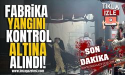 Batı Karadeniz'deki Fabrika Yangını Kontrol Altına Alındı! | Son Dakika