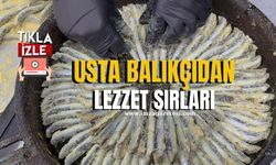 Hamsi Tezgahları Şenlendirdi! Usta Balıkçıdan Lezzet Sırları...