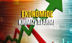 Ekonomide Güven Sarsıldı! Perakende ve İnşaat Sektörlerinde Düşüş!