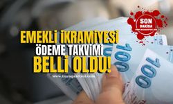 Emekli bayram ikramiyesinin ödeneceği tarih açıklandı! Tahsis numarasına göre kim ne zaman alacak?