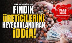 Fındık üreticilerini heyecanlandıran iddia! | Fındık Haberleri