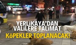 İçişleri Bakanlığı Ali Yerlikaya'dan Valiliklere talimat! Köpekler toplanacak