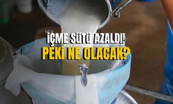 Sütte Üretim Arttı, İçme Sütü Azaldı! Peki ne olacak?