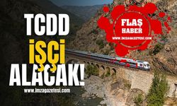 TCDD, Tren Tescil İşçisi Alacak! İşte Başvuru Şartları | İş İlanı Haberleri