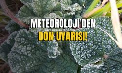 Zonguldak,Bartın, Karabük, Bolu'ya Meteoroloji’den Zirayı Don Uyarısı!