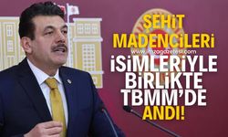 Milletvekili Avcı, 263 şehit madenciyi isimleriyle TBMM’de andı!