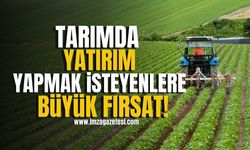 Tarımda Yatırım Yapmak İsteyenlere Büyük Fırsat! | Zonguldak Haberleri