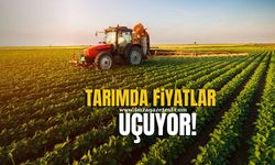 Tarımda Fiyatlar Uçuyor!