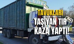 Tavukları taşıyan tır kaza yaptı! 1 yaralı