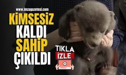 Terk edilen yavru ayıya sahip çıkıldı... | Karabük Haberleri