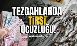 Tezgahlarda Tirsi ucuzluğu...