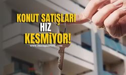 Zonguldak, Bartın ve Karabük’te Konut Satışlarında Rekor Artış!