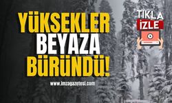 Yüksekler beyaza büründü... | Düzce Haberleri