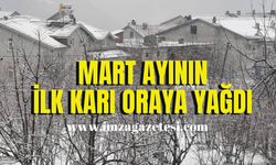 Mart ayının ilk kar haberi oradan geldi!