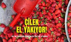 Çilek el yaktı!