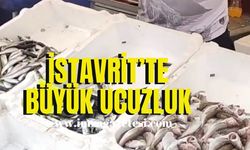 İstavrit’te büyük ucuzluk