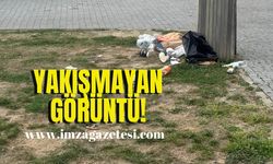 Yakışmayan görüntü!